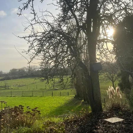 Homestay Rust, & Gratis Ontbijt Met Uitzicht Op Paardenweiden