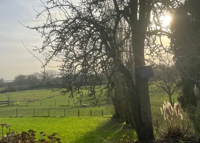 Privatunterkunft Rust, & Gratis Ontbijt Met Uitzicht Op Paardenweiden