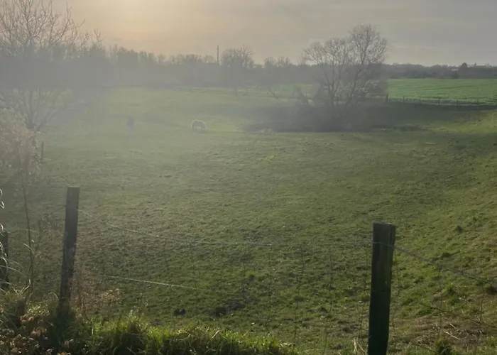 Rust, & Gratis Ontbijt Met Uitzicht Op Paardenweiden *